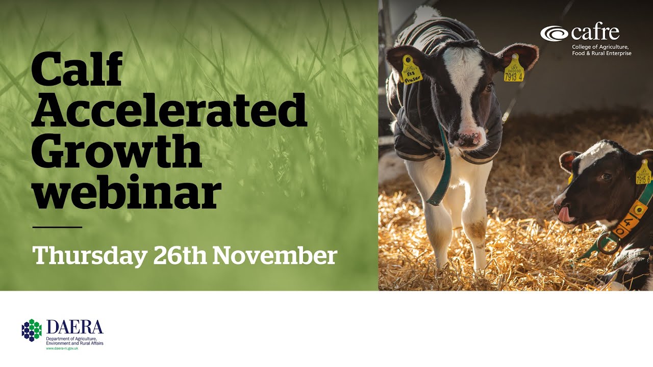 CAFRE Calf 2020 Webinar 2 &ndash; Implementing Accelerated Growth