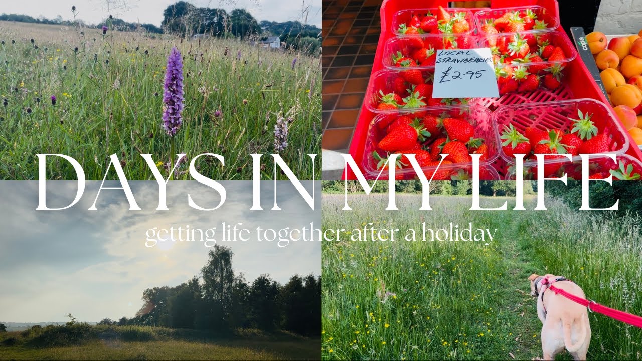 DAYS IN MY LIFE | getting life sorted, lots of gardening, food and homesense hauls
