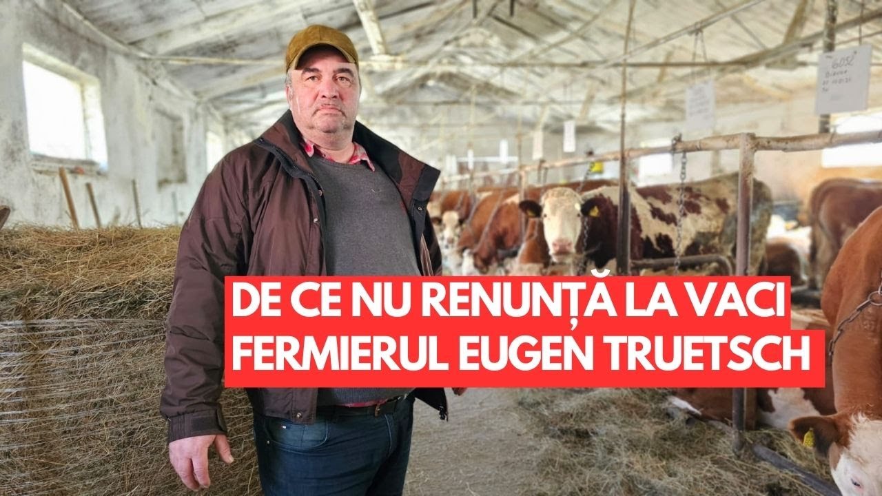De ce nu renunță la vaci fermierul Eugen Truetsch din Râșnov, județul Brașov