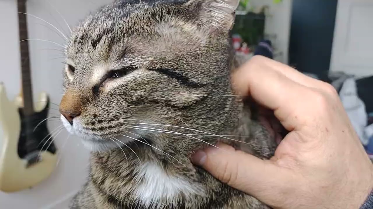 Snuggle and a nibble