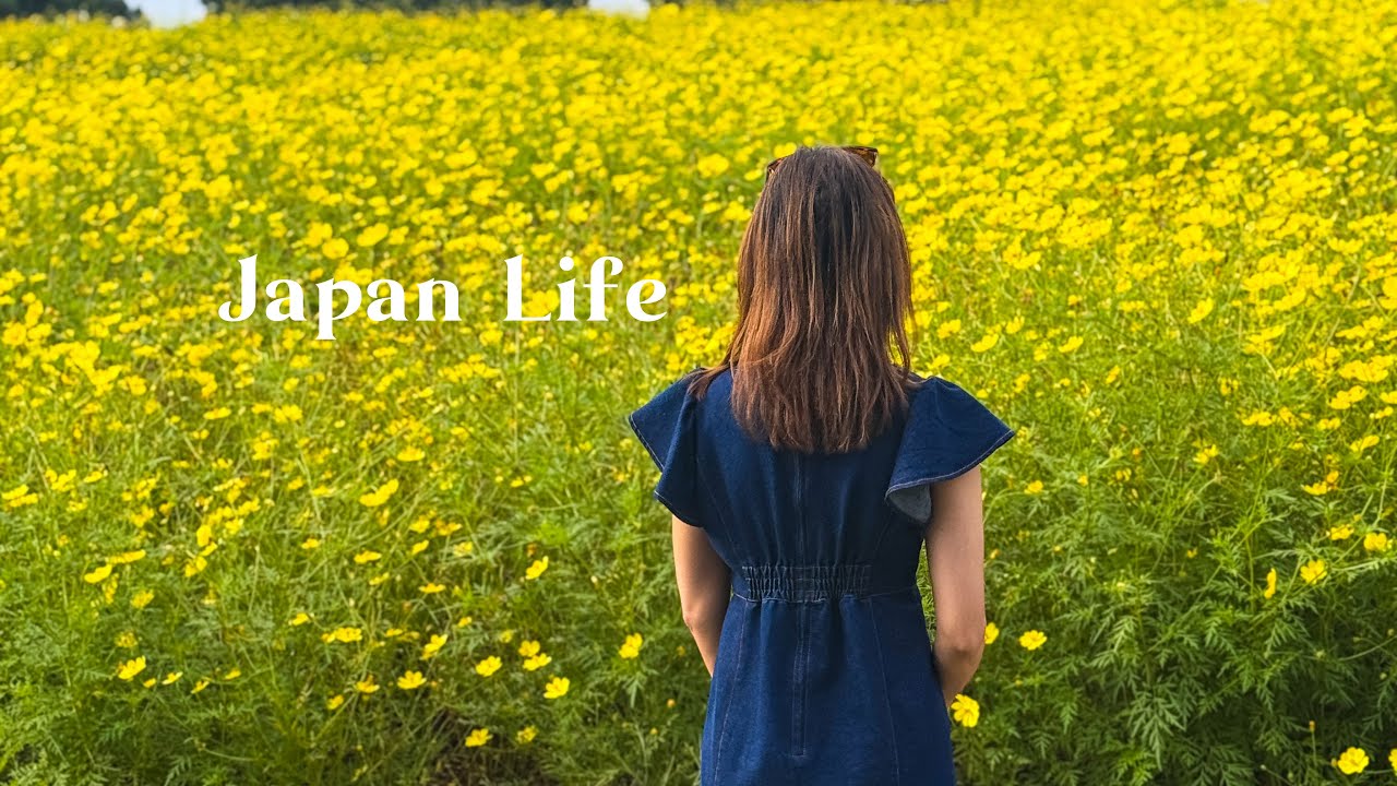 Life in Japan Lately: eating Sushi🍣Cosmos Field for the first time🌼Craving Pancake🥞