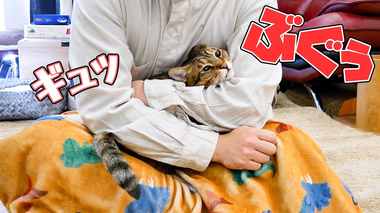 猫を抱きしめたら聞いたことのない音が出ました
