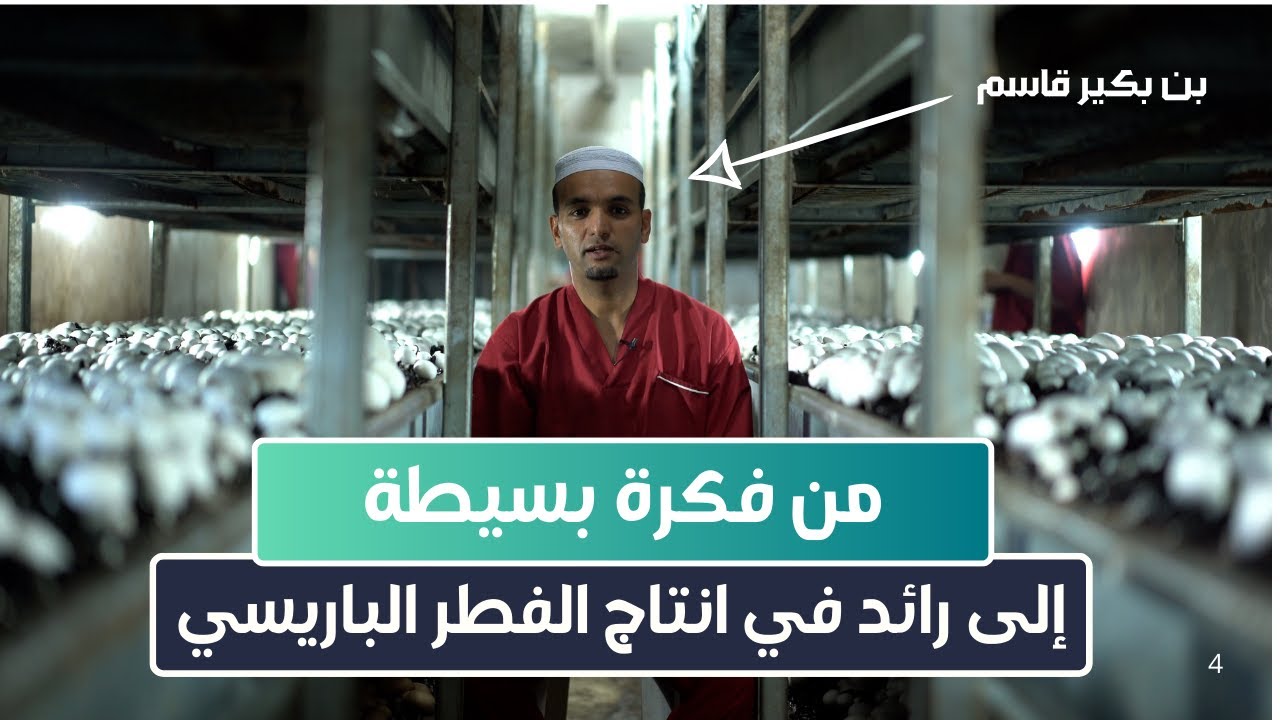 قصة شاب من غرداية | من فكرة بسيطة إلى رائد في انتاج الفطر الباريسي