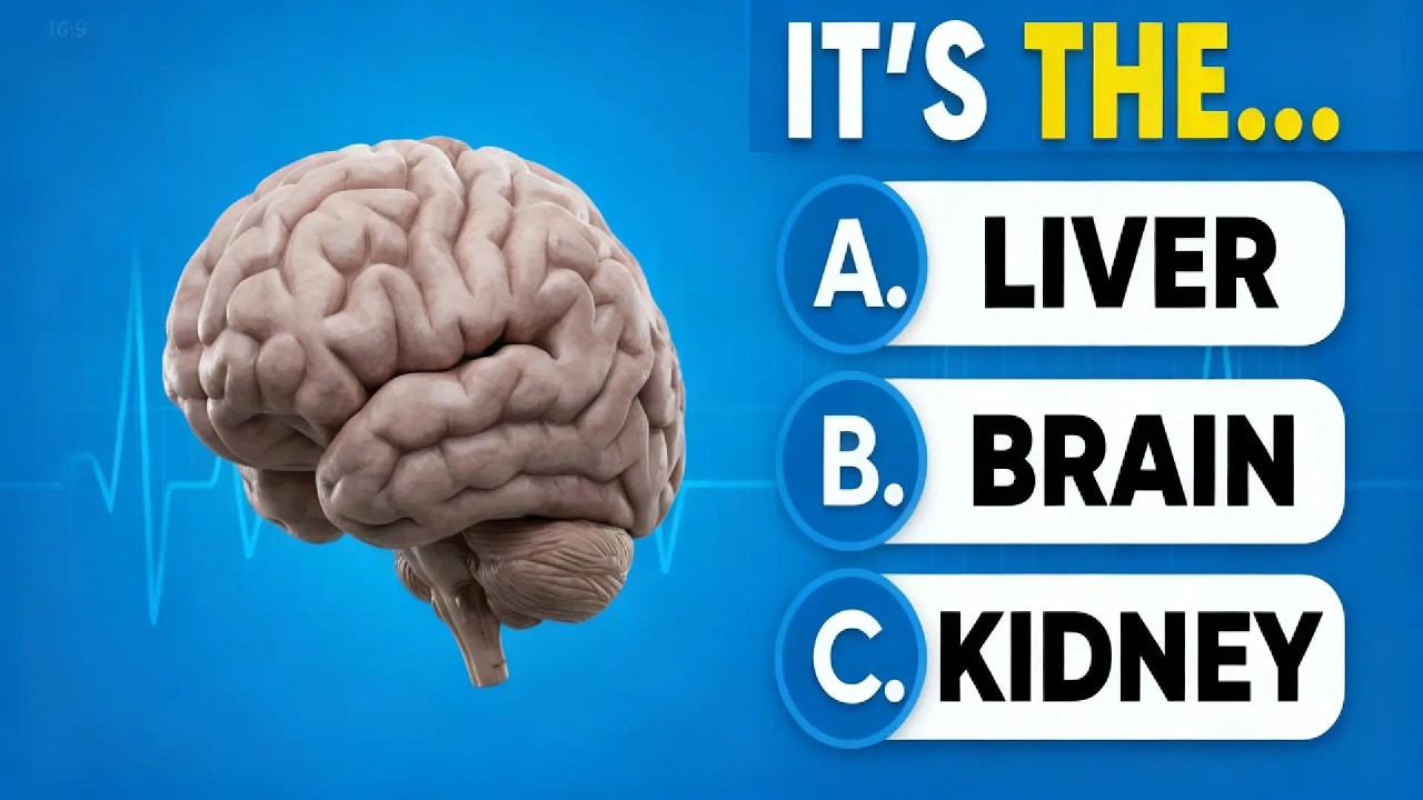 Human Body Quiz | General Knowledge Challenge (Easy Level)