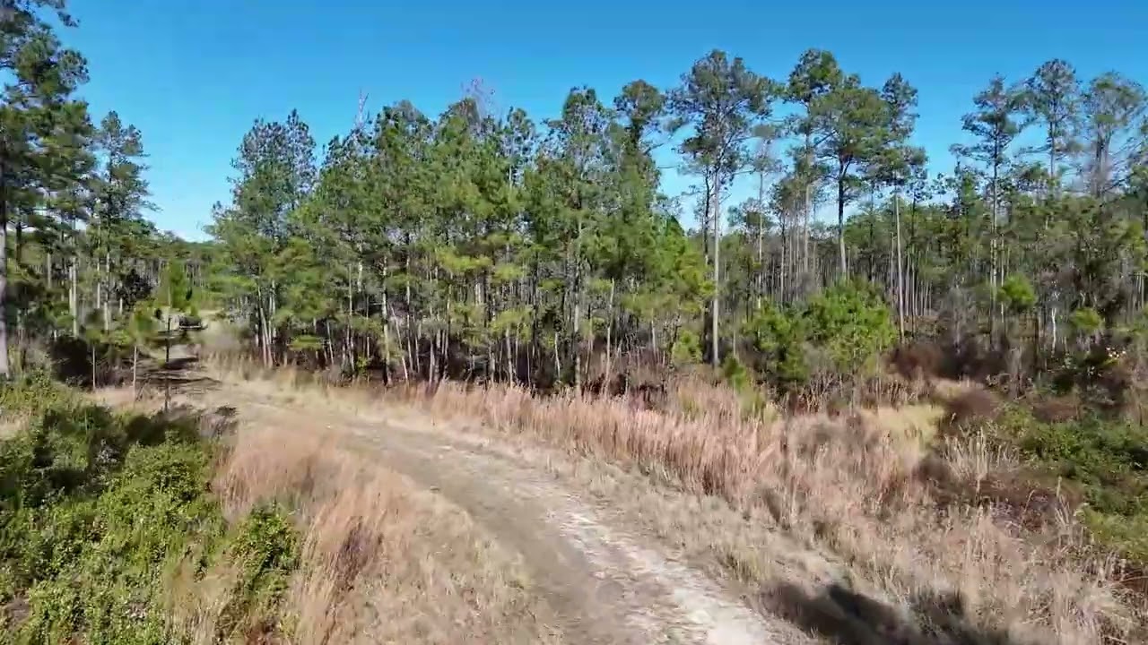 98&plusmn; acres...PRIME RECREATION & CONVENIENCE only minutes to Ocala, FL!