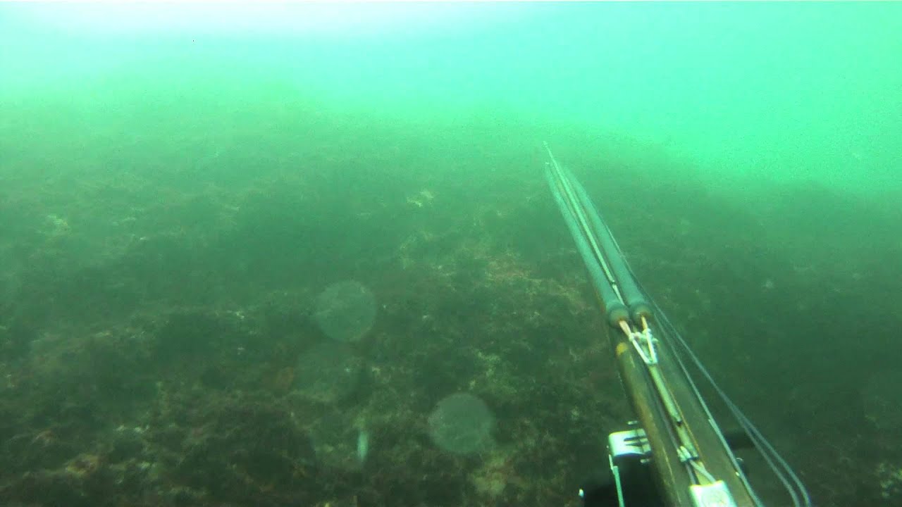 ca&ccedil;a sub Deamon Teak Spearguns