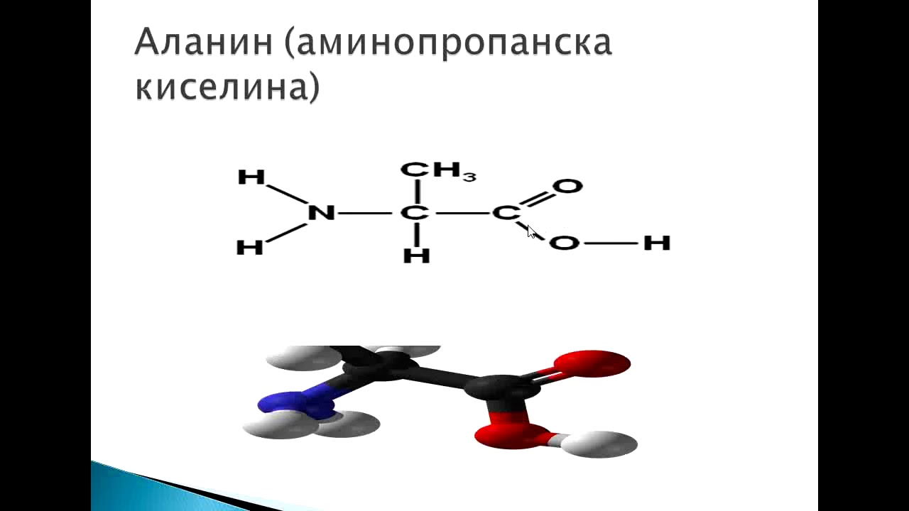 Aminokiseline Proteini