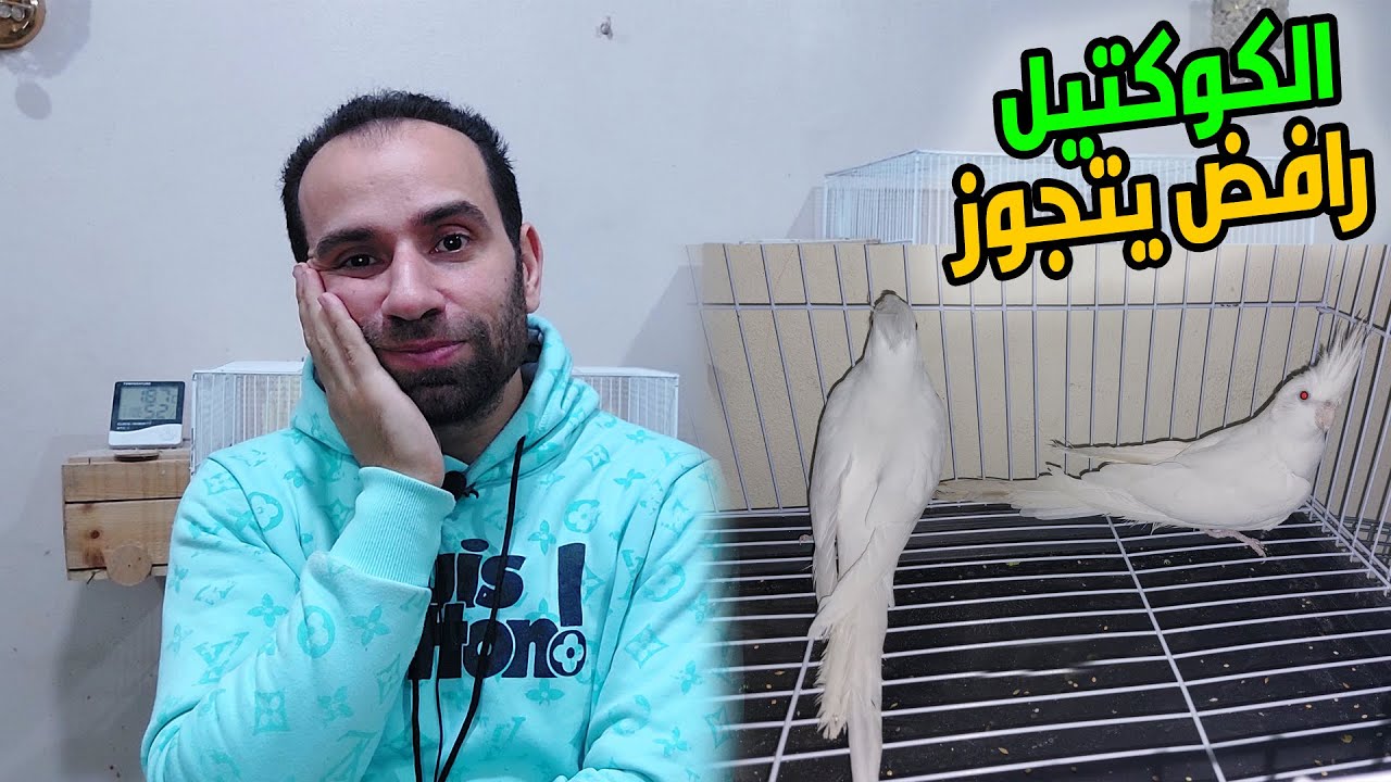 الكوكتيل العنيد الغير متوالف !! ازاى اجوزة