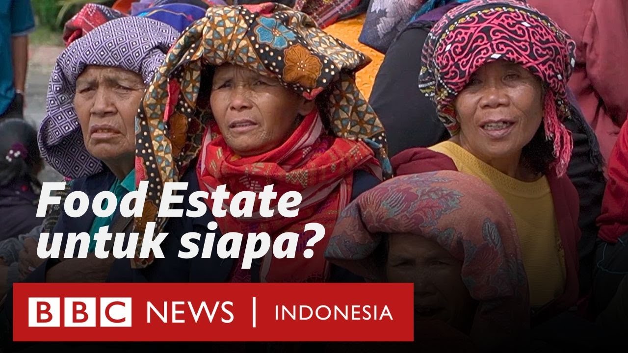 Food Estate Sumatra Utara: 'Ini lumbung pangan untuk siapa?' - BBC News Indonesia