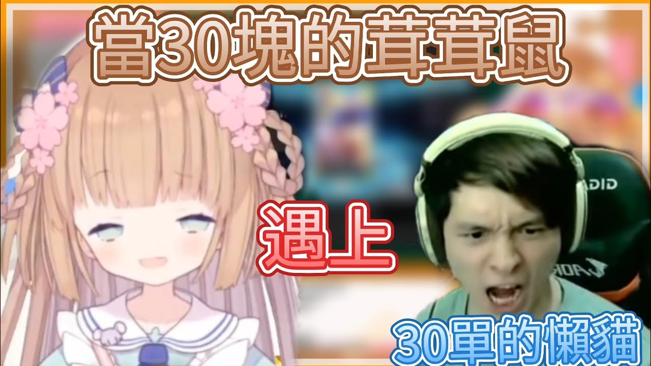 當30塊的茸茸鼠遇上30單的懶貓...！？【茸茸鼠／もちこまめ】
