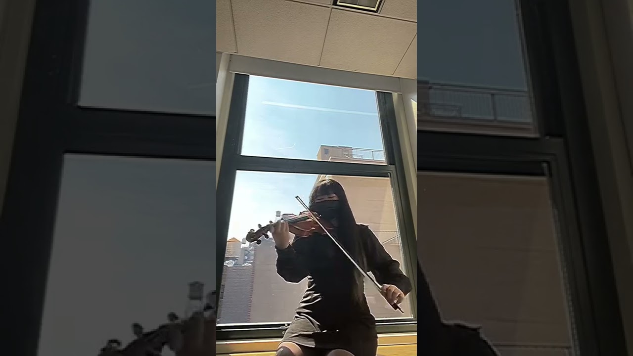 Howl&rsquo;s Moving Castle - Merry-Go-Round of Life 💙 Violin Cover