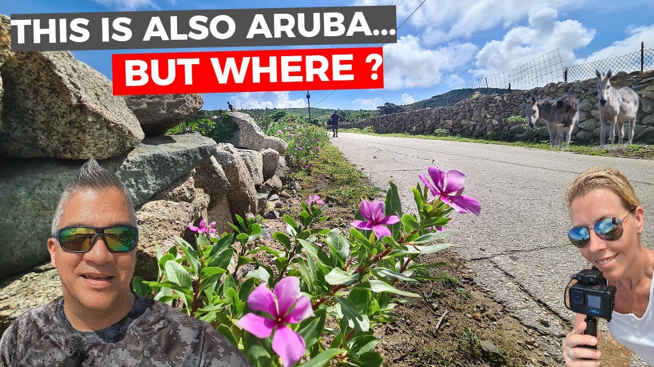 Showing you ARUBA'S Beautiful COUNTRY SIDE!