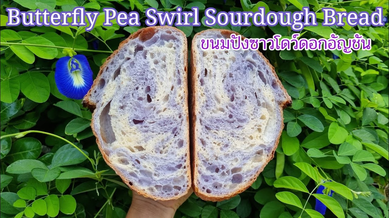 EP61 : Butterfly Pea Swirl Sourdough Bread ขนมปังซาวโดว์ดอกอัญชัน