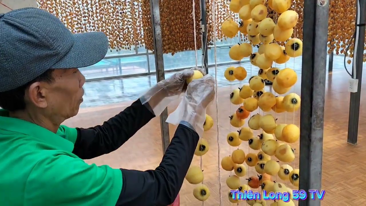Du Lịch Tham Quan Đà Lạt - Vườn Hồng Ông Thắng # Hái Hồng Ăn Thú Vị xem Hái Trực Tiếp # Trải nghiệm