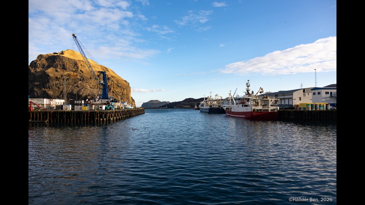 Í rjómablíðu 5  febrúar 2026