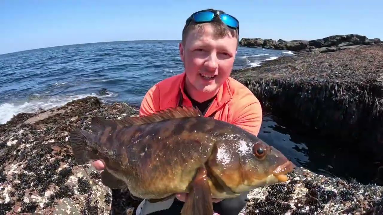 Рыбалка на BALLAN WRASSE в Ирландии!