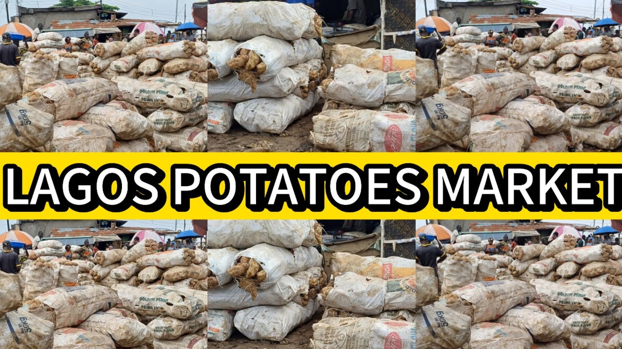 POTATOES MARKET IN LAGOS, NIGERIA.  #nigeria #potato #potatomarket #tour #tourism #market