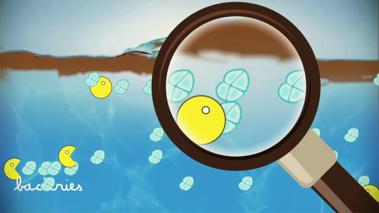 D'où vient l'eau de ton robinet ? - L'actu en classe