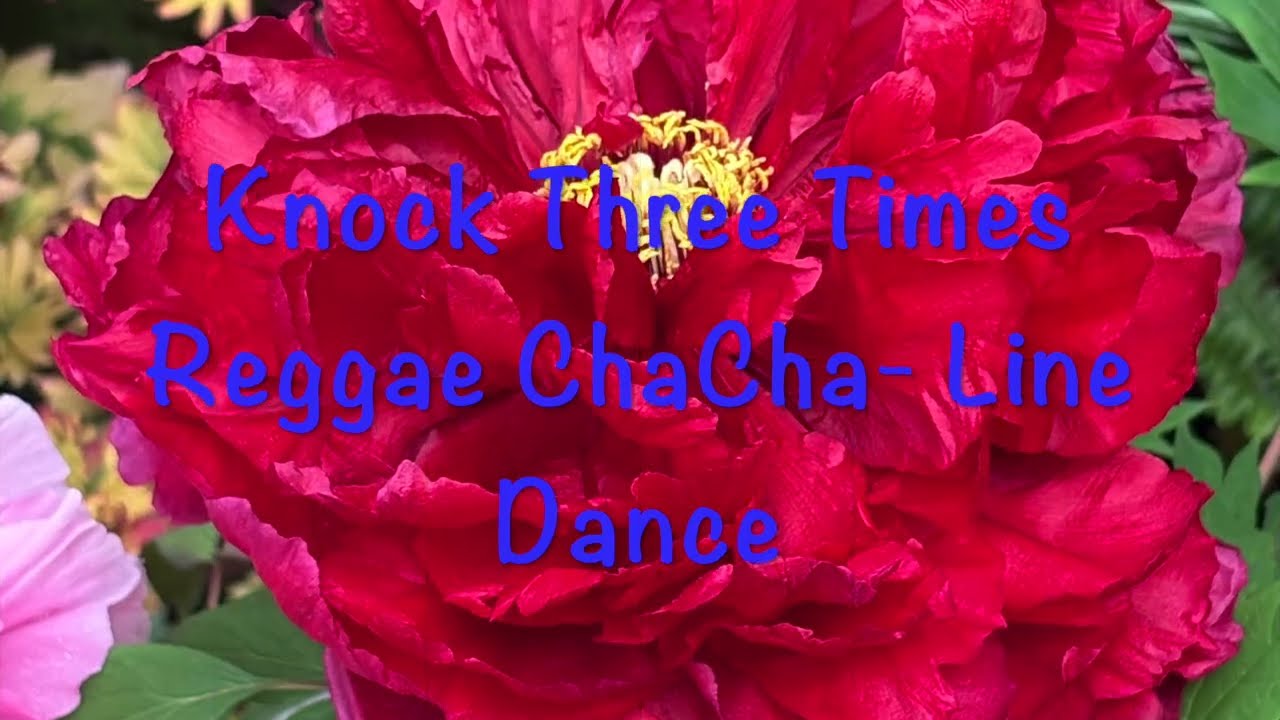 Knock Three Times Reggae Cha Cha - Line Dance