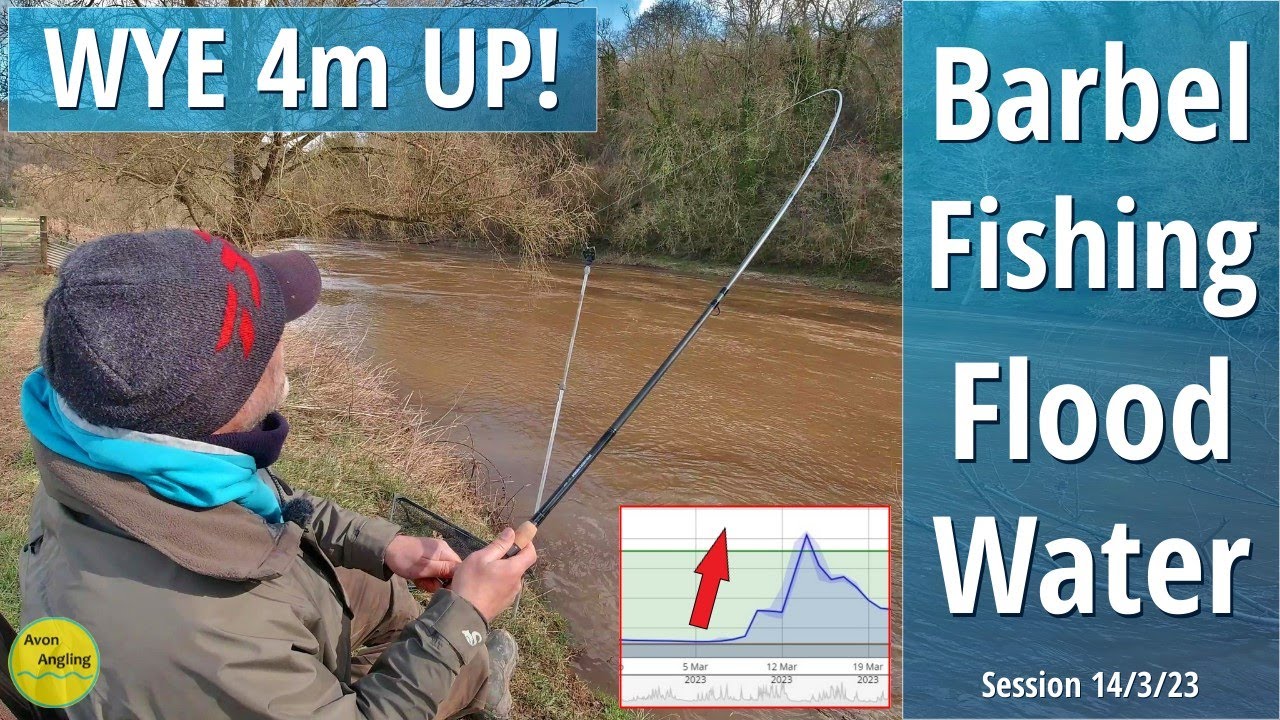 Floodwater Barbel Fishing On The River Wye - Last Day Of The Season - 14/3/23 (Video 393)
