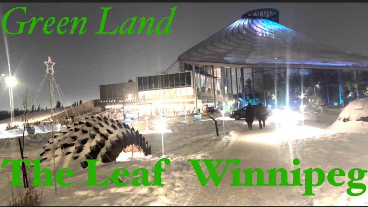 The Leaf Winnipeg Visit in Winter 🥶 