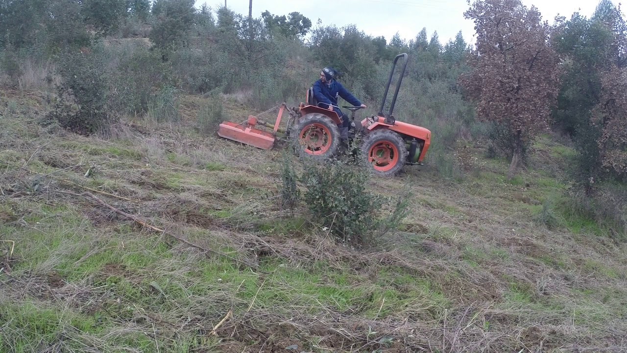 Tractor Articulado Agria 8900 | Limpeza de terreno com sobreiros