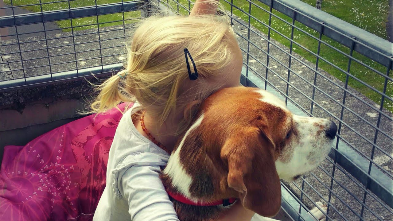 Why Do Dogs Love Kids So Much? (Watch This & Melt)