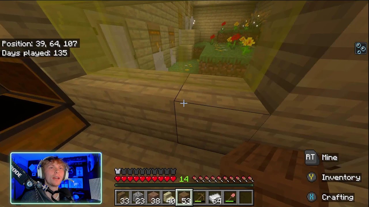 Birthday Stream! (Minecraft Antics)