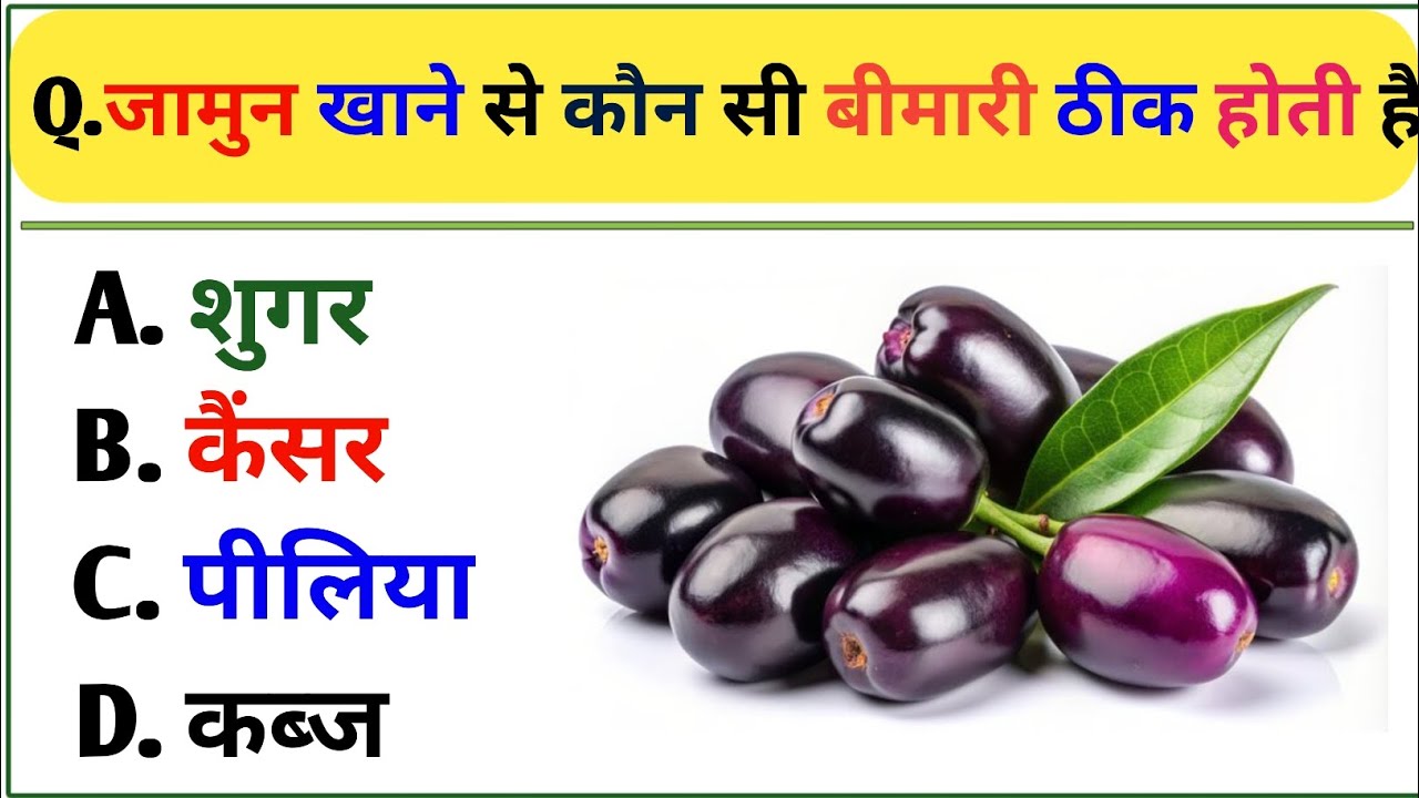 GK QUESTION || GK IN HINDI || GK QUESTION AND ANSWER || GK QUIZ || 