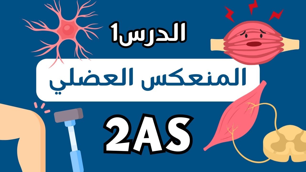 دور المنعكس العضلي في الحفاظ على وضعية الجسم✅ أول درس علوم ثانية ثانوي شعبة علوم تجريبية😍تقرا+تستمتع