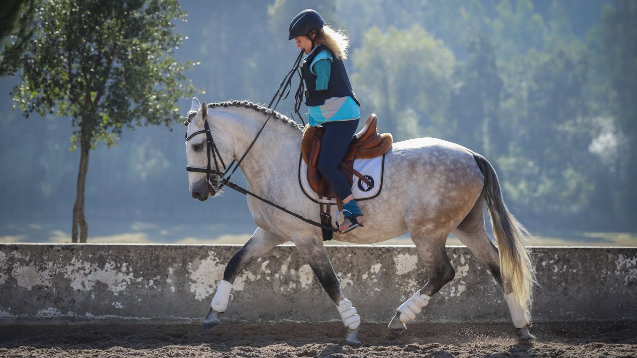 Paradressage Champion Bettina Eistel finds her new Lusitano horse!
