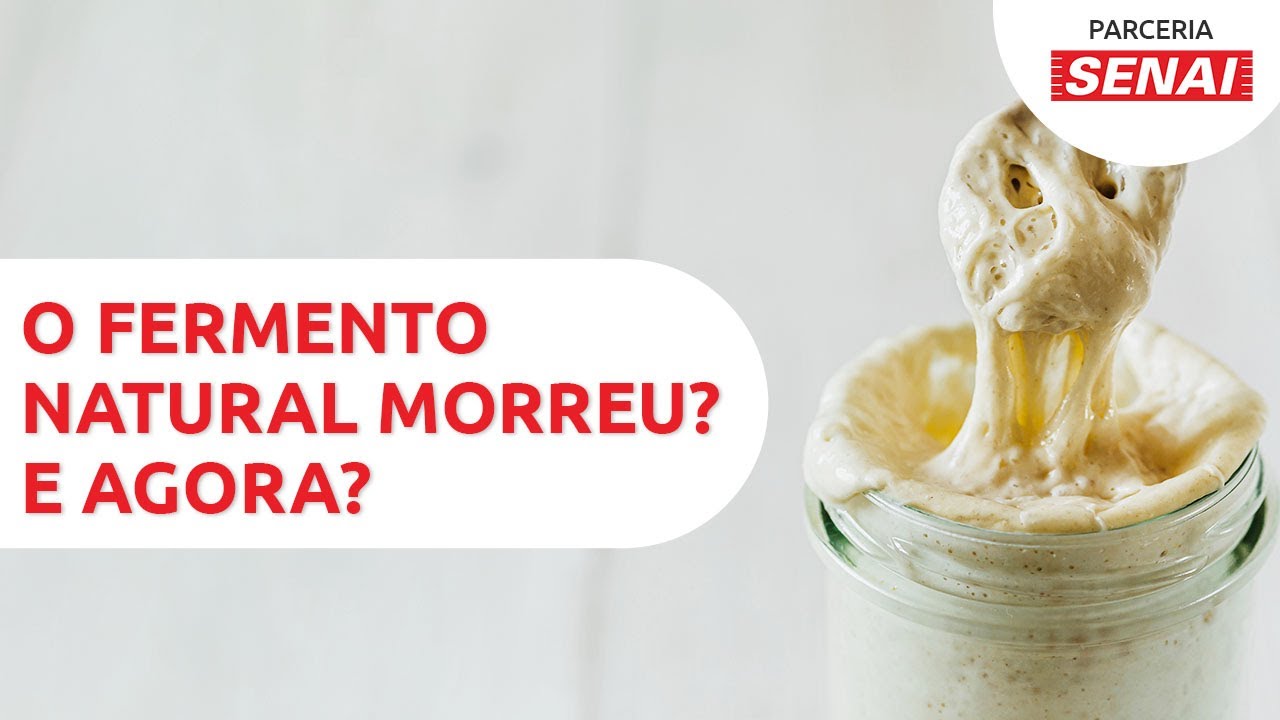 Como cuidar do fermento natural? O Levain morreu? – CANAL SENAI-PADACON