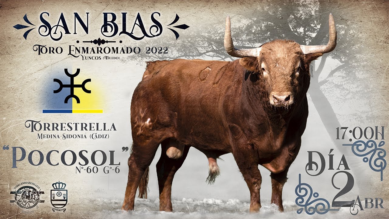 San Blas 2022. Toro Enmaromado de Yuncos. Presentación Torrestrella