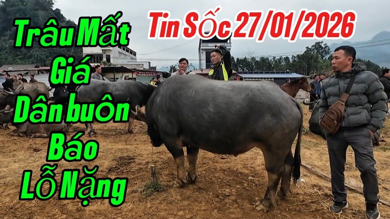 Vietnam’s Most Secretive Traditional Buffalo Market