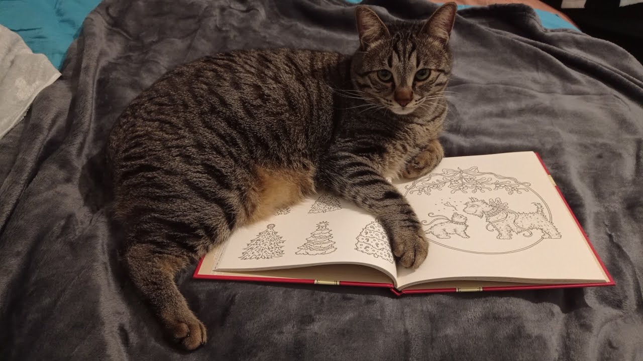 MERRY CHRISTMAS coloring book illustrated by Hanna Karlzon FULL FLIP-THROUGH