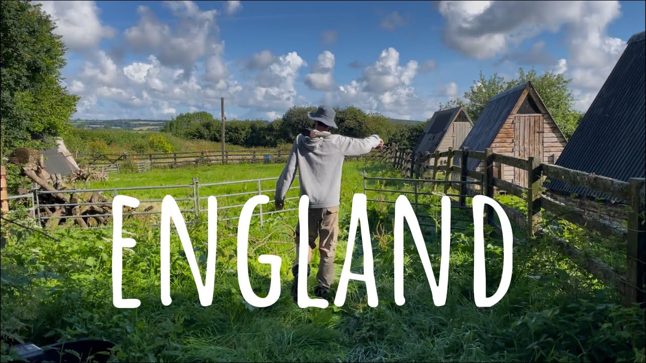 3 semaines à la ferme en Angleterre 