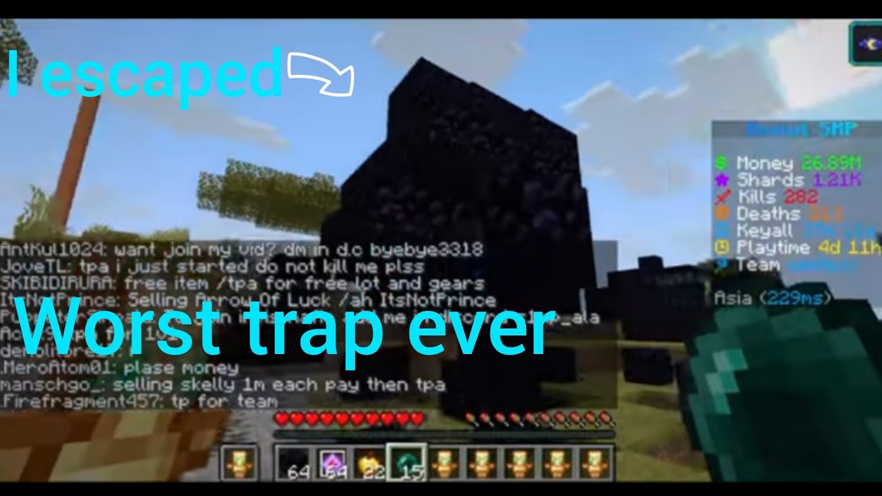 Why Not To Accept Random Teleports On The Donut SMP