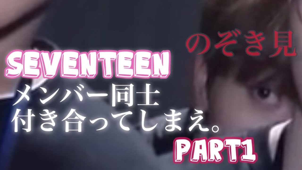 【seventeen/セブチ】メンバー同士付き合ってしまえ。Part1