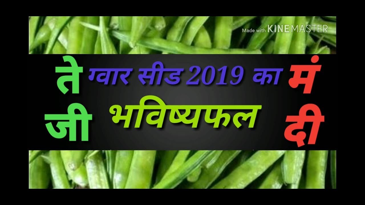#7 Guar seed report