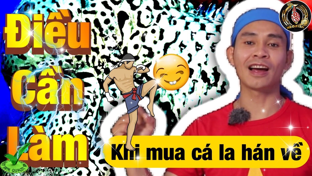 Những Điều Cần Làm Sau Khi Mua Cá La Hán Đẹp Về Nhà |NeoFish