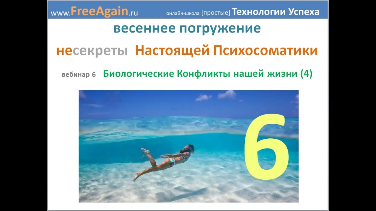Егор Миронов Весеннее погружение 2019 Вебинар 6 18 апреля запись