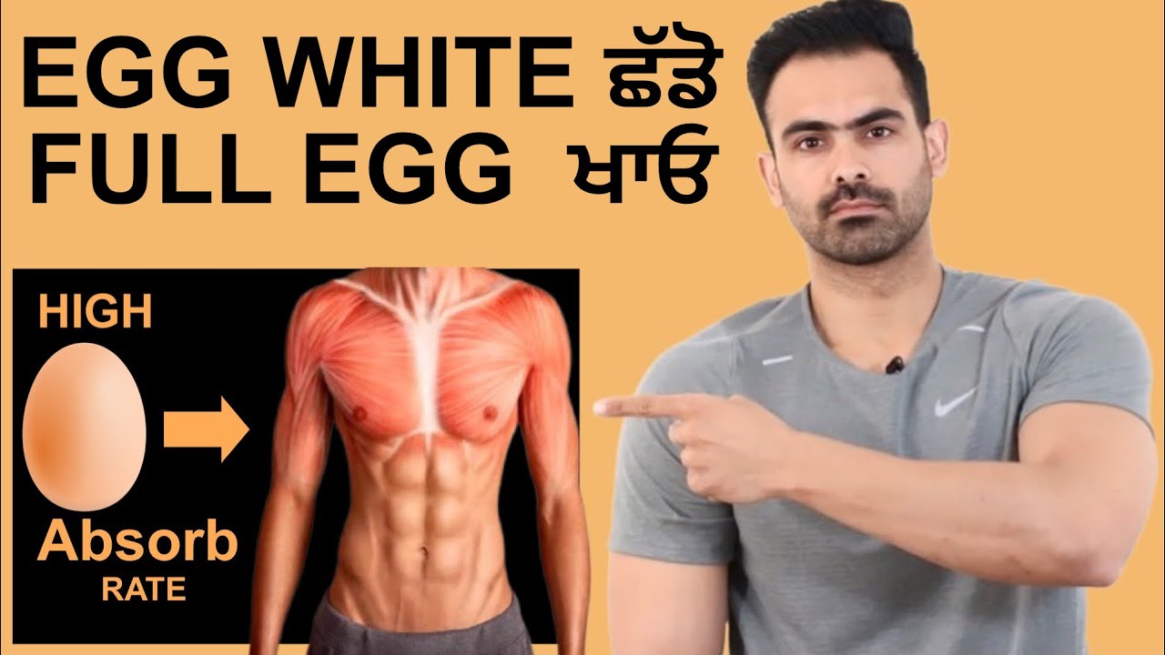 Egg White Vs Full Egg Which One is Best FOR Muscle Growth | Harry Mander