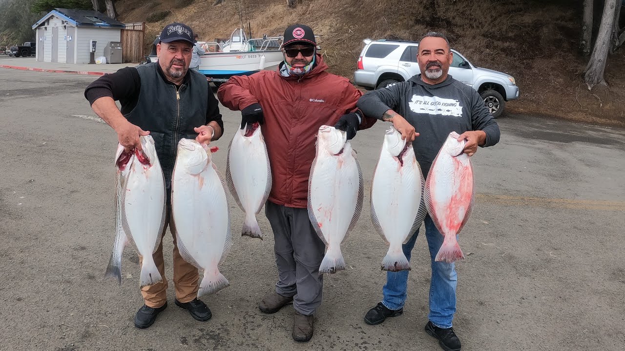 3 limits of halibut fishing tomales bay august 16,2025