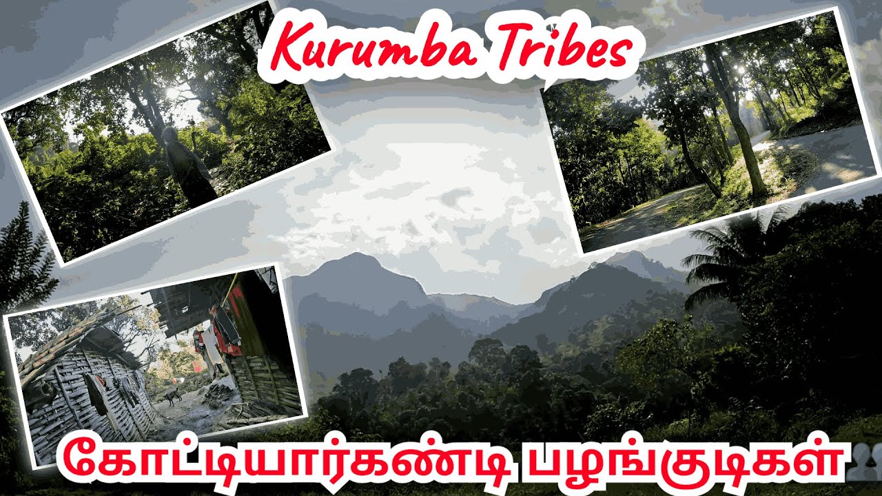 முற்றிலும் தற்சார்பாக மாறிய மலைவாழ்க்கிராமம் | Gottiyargandy Tribal Village in Tamilnadu - Kerala