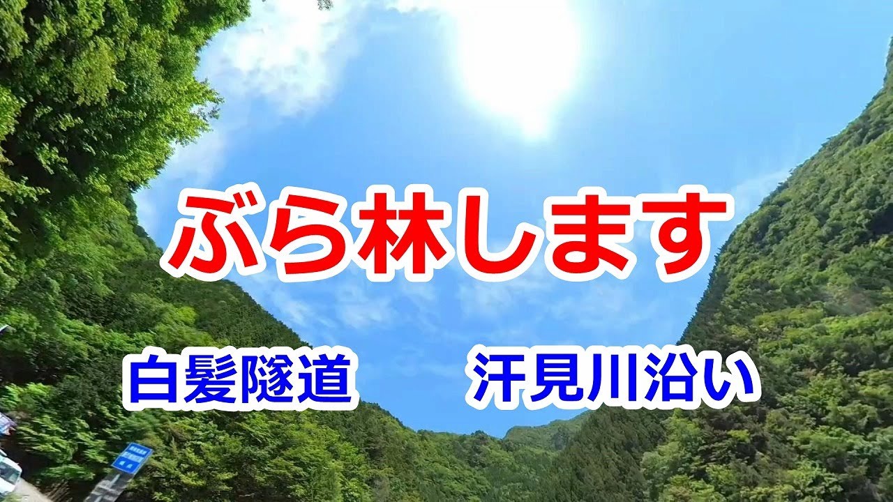 白髪隧道、汗見川沿いをぶら林（四国の林道）2022/05/29
