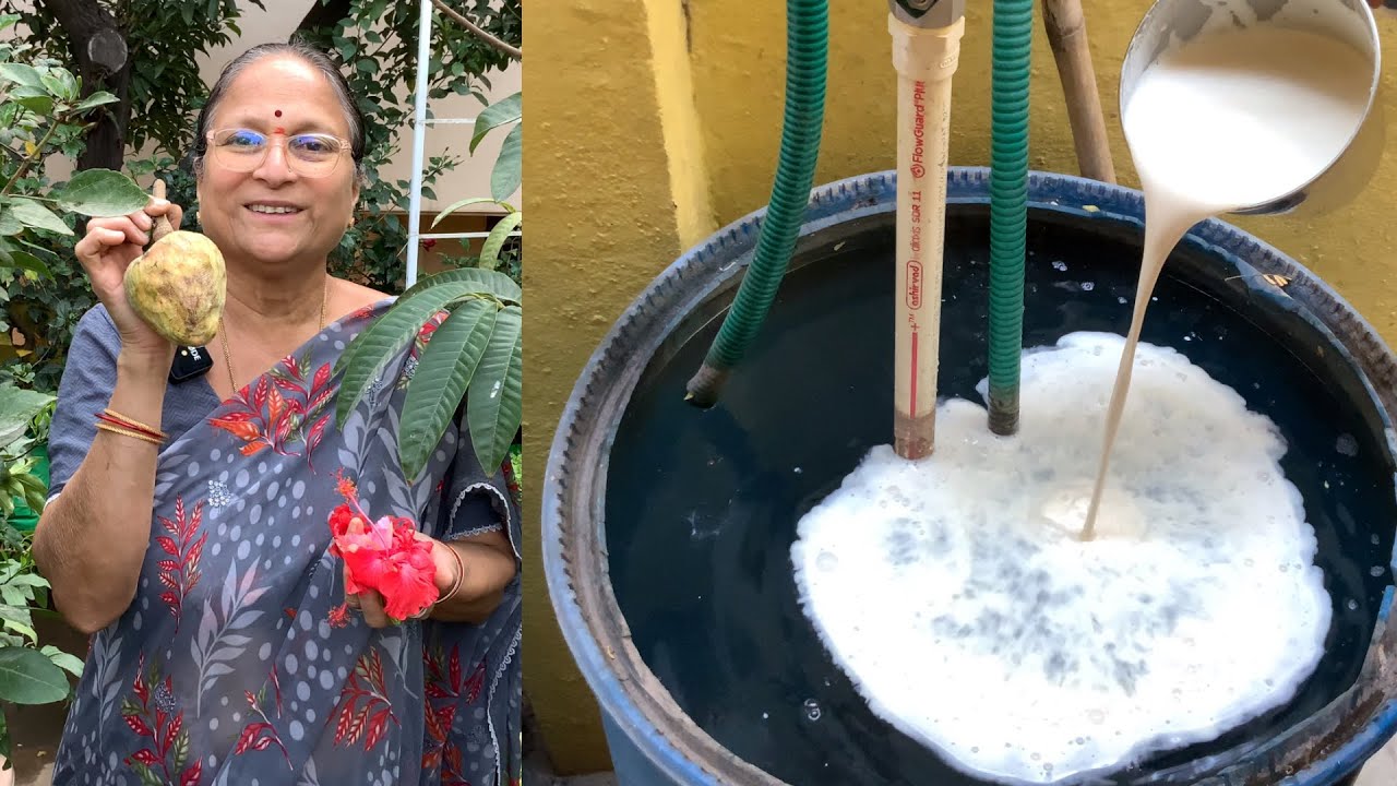 మొక్కలు కోసం చేసుకున్న పనులు