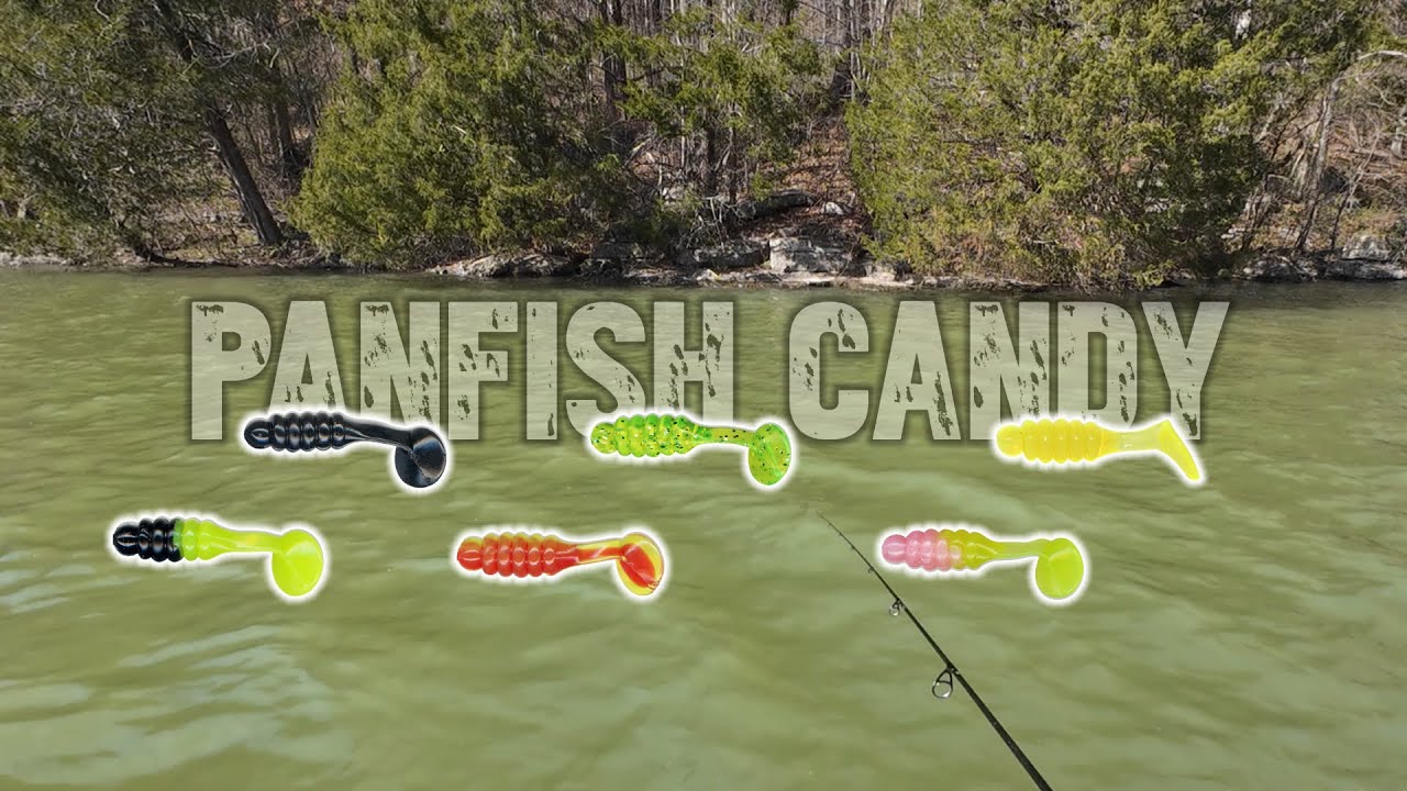 RIOT Bluegill Swimbait Fishing! Charlie Brewer 1