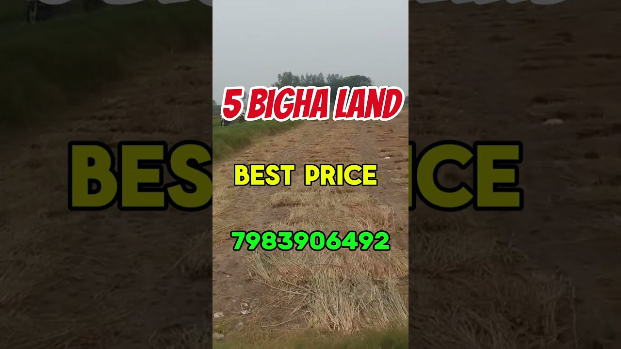 5 Bigha Agricultural Land, Near Amroha City (UP)