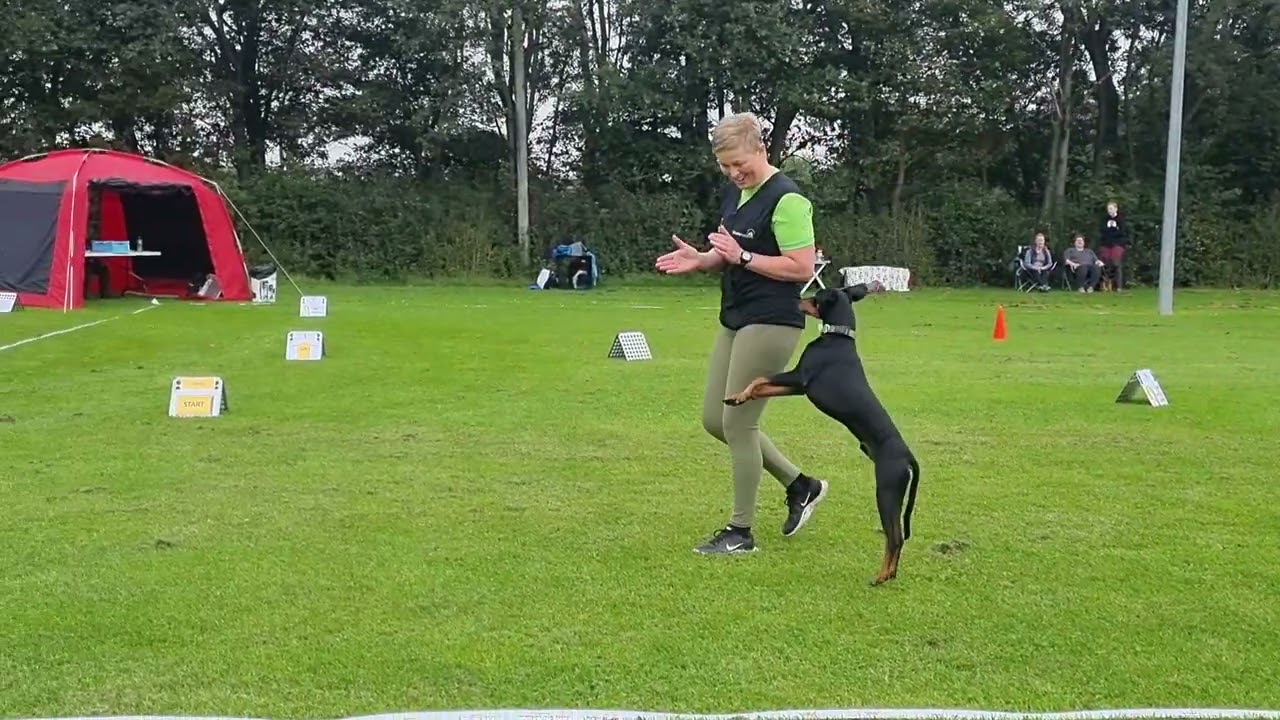 Baileys første tegnsprogsprøve, Seniorklassen