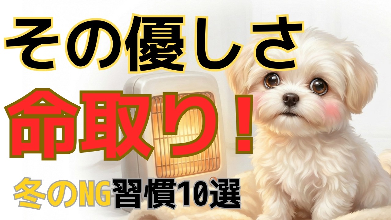 【警告】愛犬の命を奪う、冬の危険な習慣10選。飼い主の9割が知らないNG行動とは？